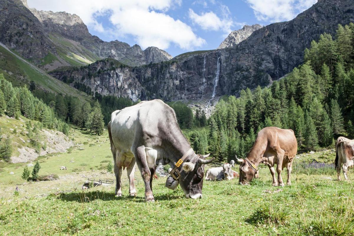 Haus Tirol Appartements Ried im Oberinntal Bagian luar foto
